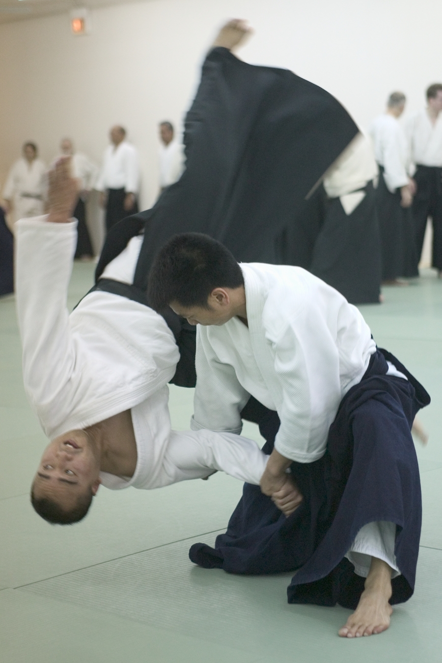 Aikido training at a Midwest Aikido Center seminar